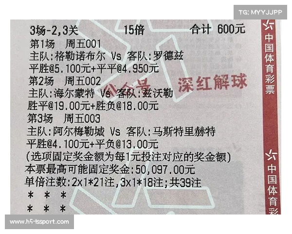 近二十年德甲冠军回顾与球队成就分析 近二十年德甲冠军回顾与球队成就分析